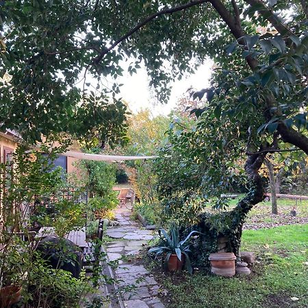 Green Oasis On Water In The Center Of Milan Bagian luar foto
